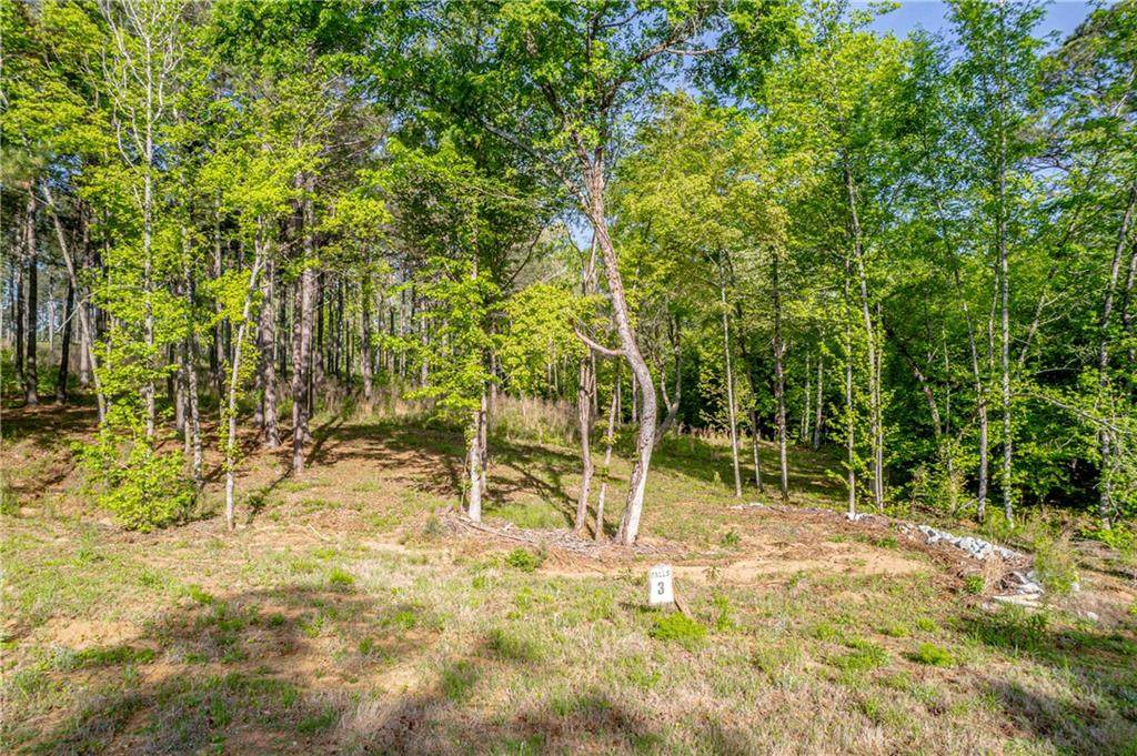 126 Falls Lane - Photo 1