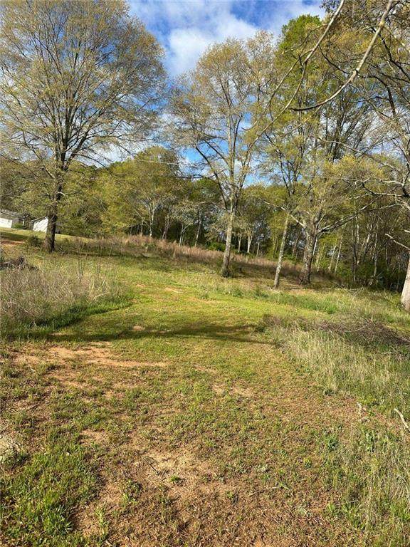 1001 Laboon Road - Photo 1