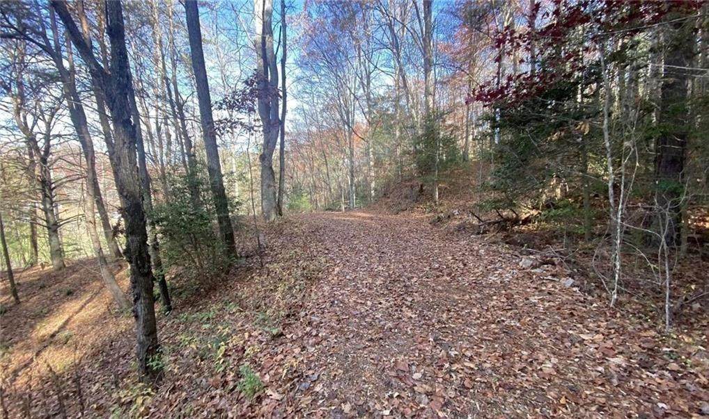 1 Barefoot Hills - Photo 1