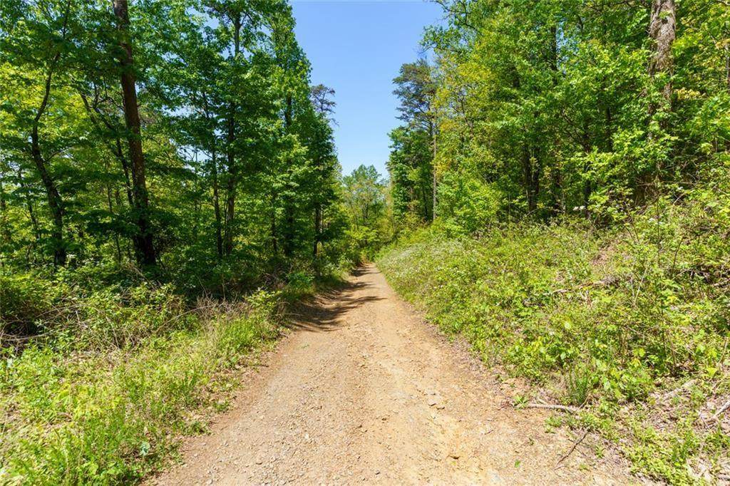 0 Fire Tower Road - Photo 1