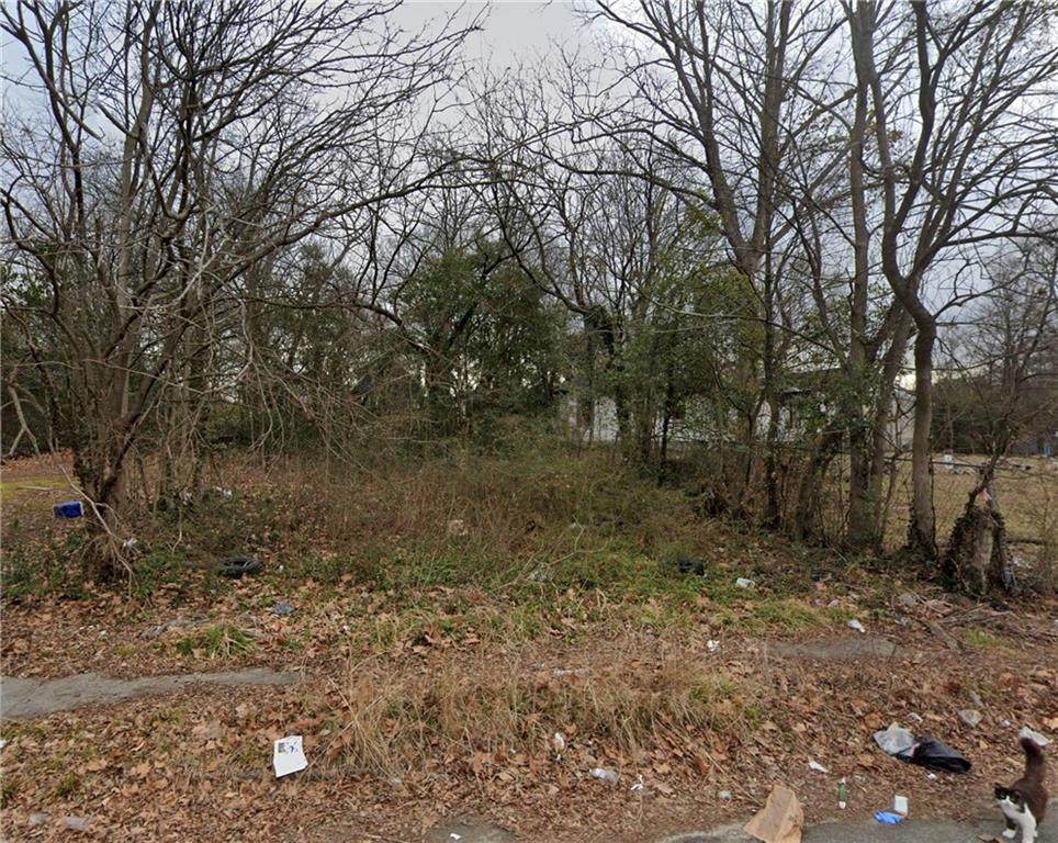 509 Paines Avenue - Photo 1