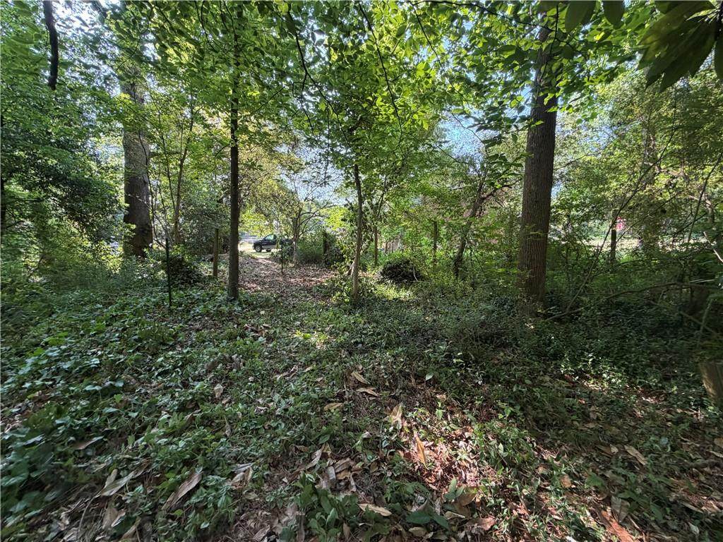 0 Manning Drive - Photo 1