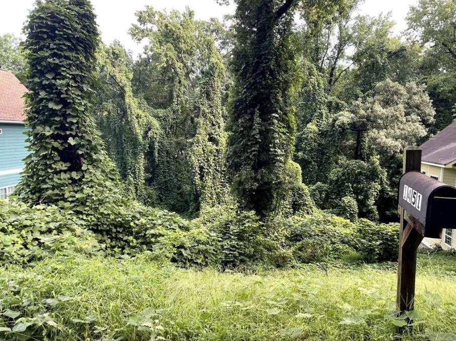 1451 Andrews Street - Photo 1