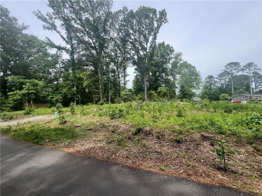 4630 White Lake Drive - Photo 1