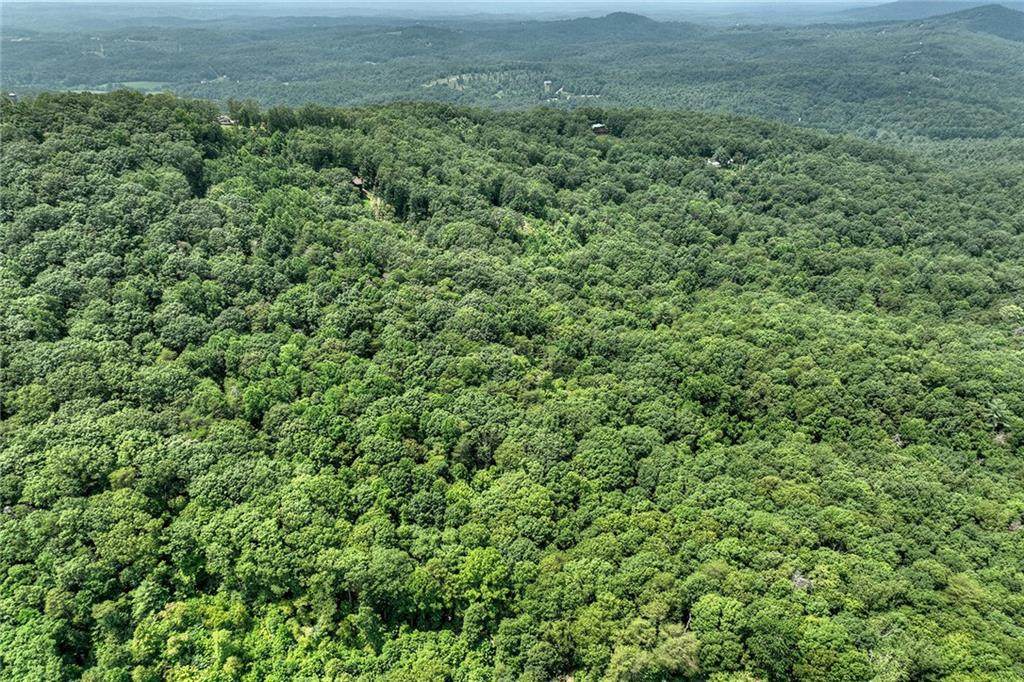 7.89 Ac Laurel Springs Road - Photo 1