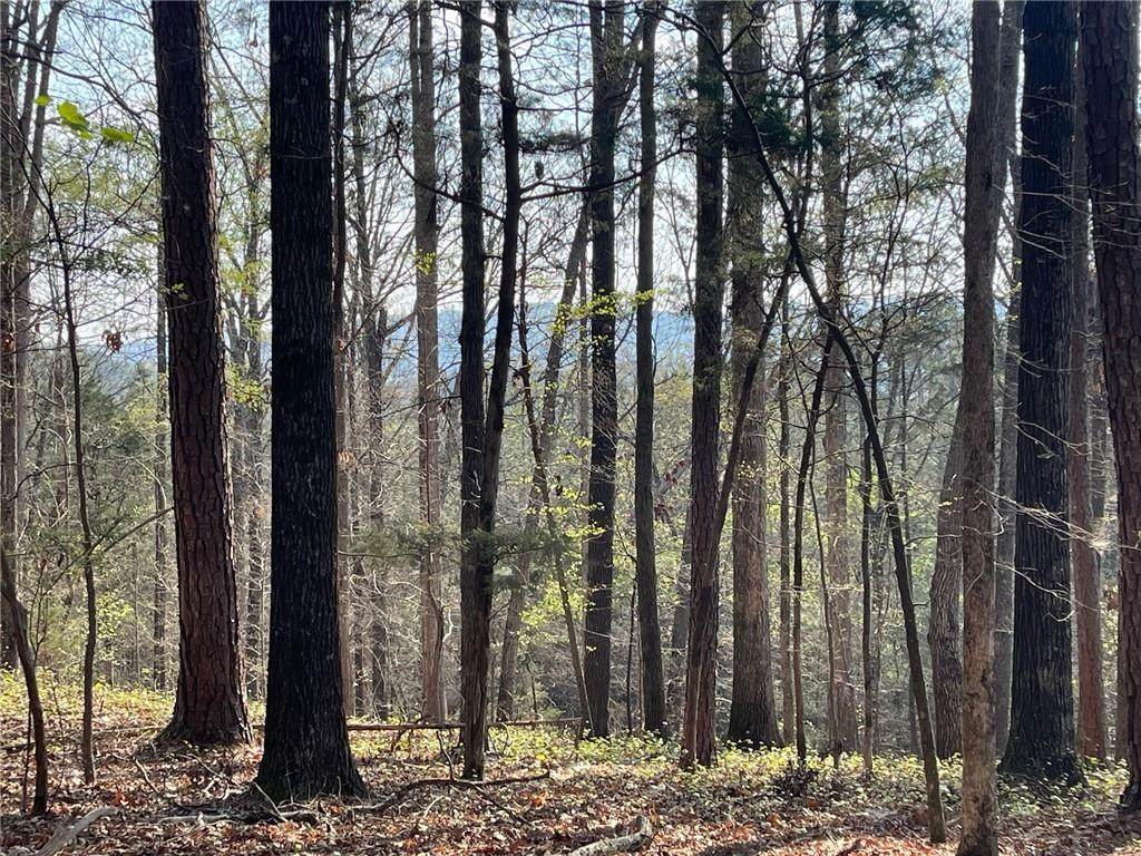 Lot 12 Chalcrest Way - Photo 1