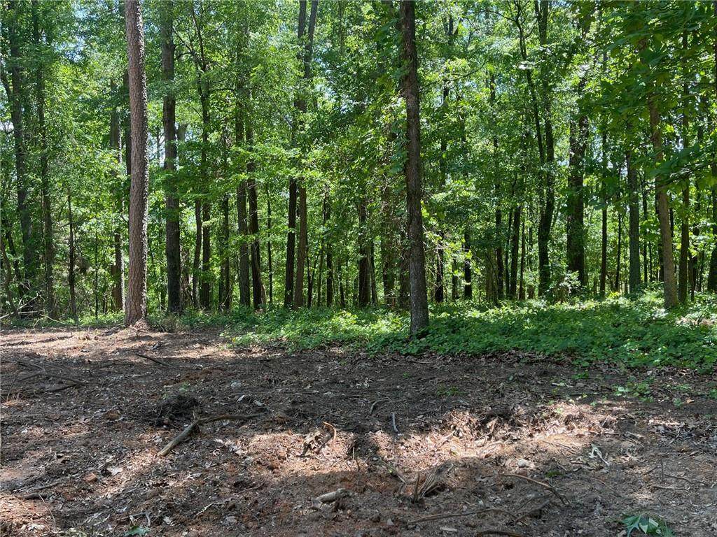 Lot 13 Chalcrest Way - Photo 1