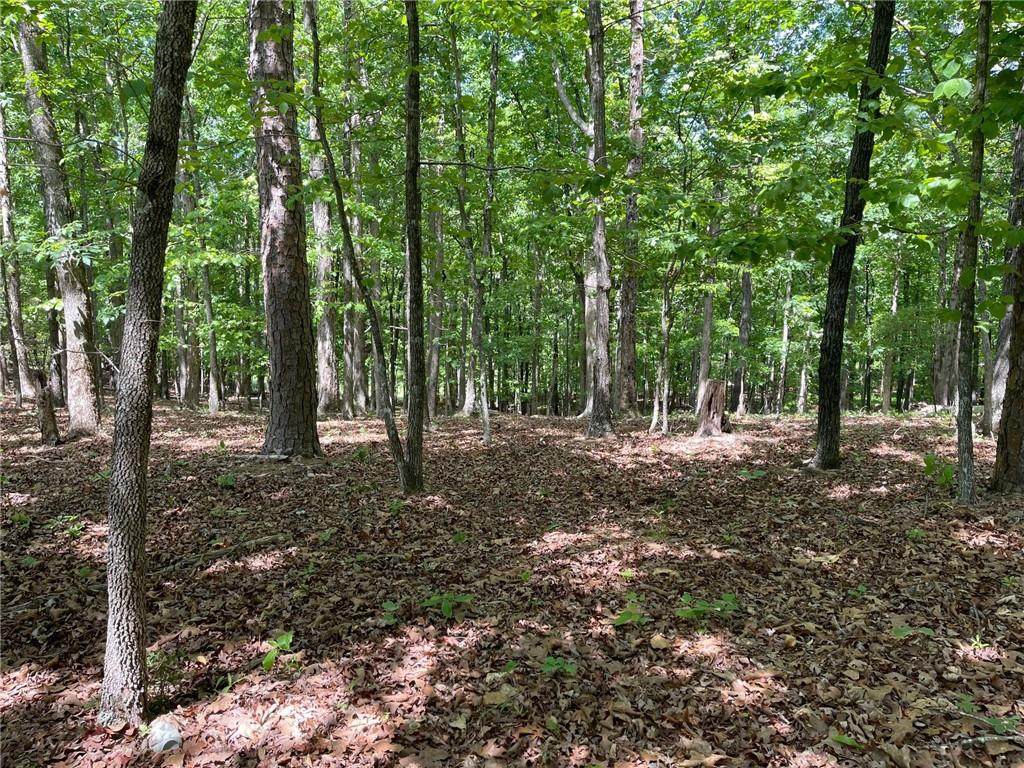 Lot2&3 Chalcrest Way - Photo 1