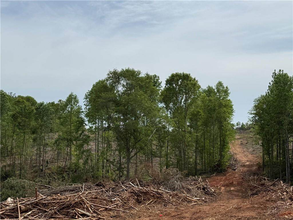 2574 N Hwy 27 - Photo 1