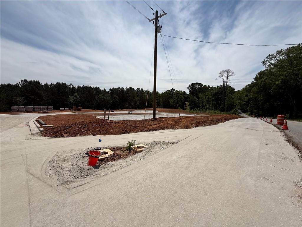 0 Skinner Road - Photo 1