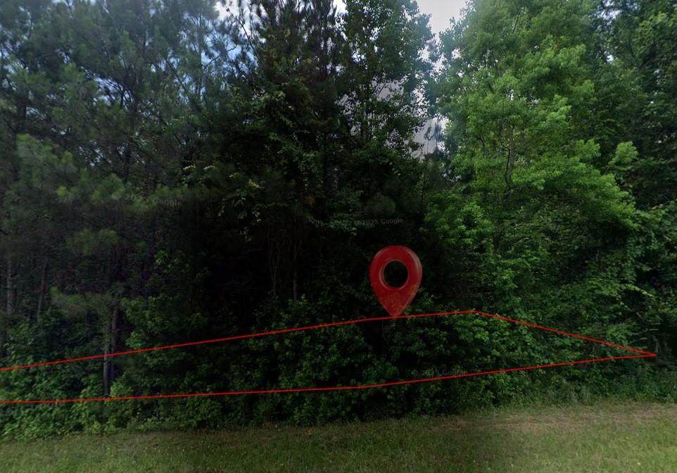 0 New Clinton Road - Photo 1