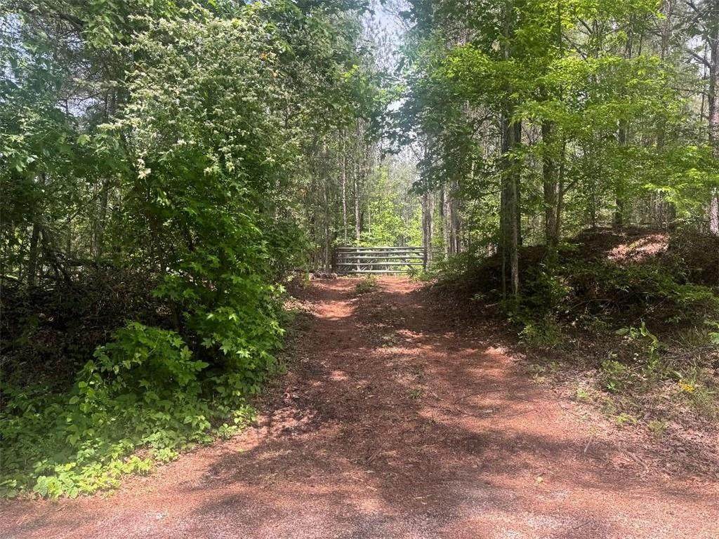 0 Butler Bridge Road - Photo 1