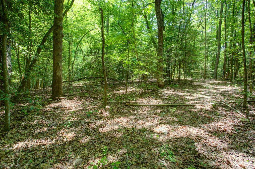 0 Hwy 136 (3.12 Acres) - Photo 1