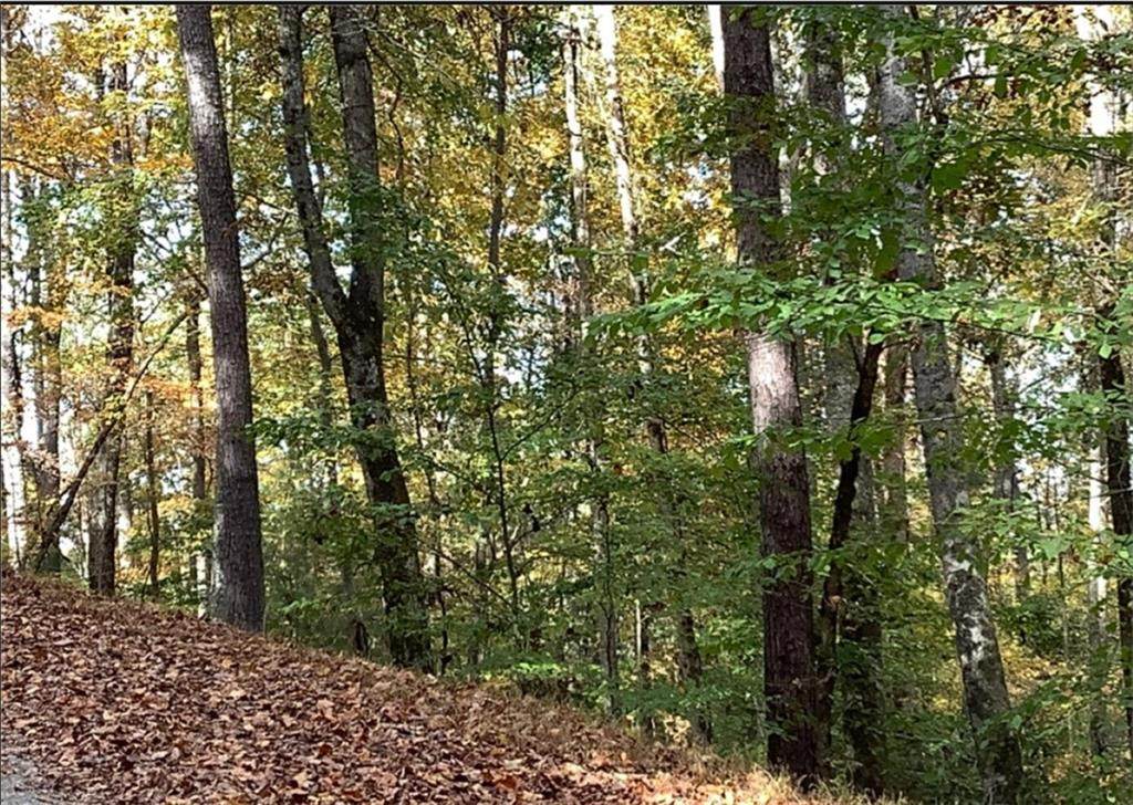 https://bt-photos.global.ssl.fastly.net/fmls/orig_boomver_1_7764784-2.jpg