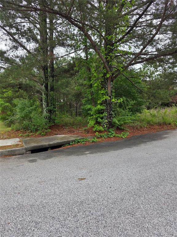 6372 Flat Rock Lane - Photo 1
