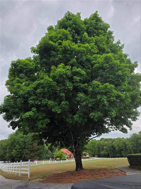 https://bt-photos.global.ssl.fastly.net/fmls/orig_boomver_1_7769156-2.jpg