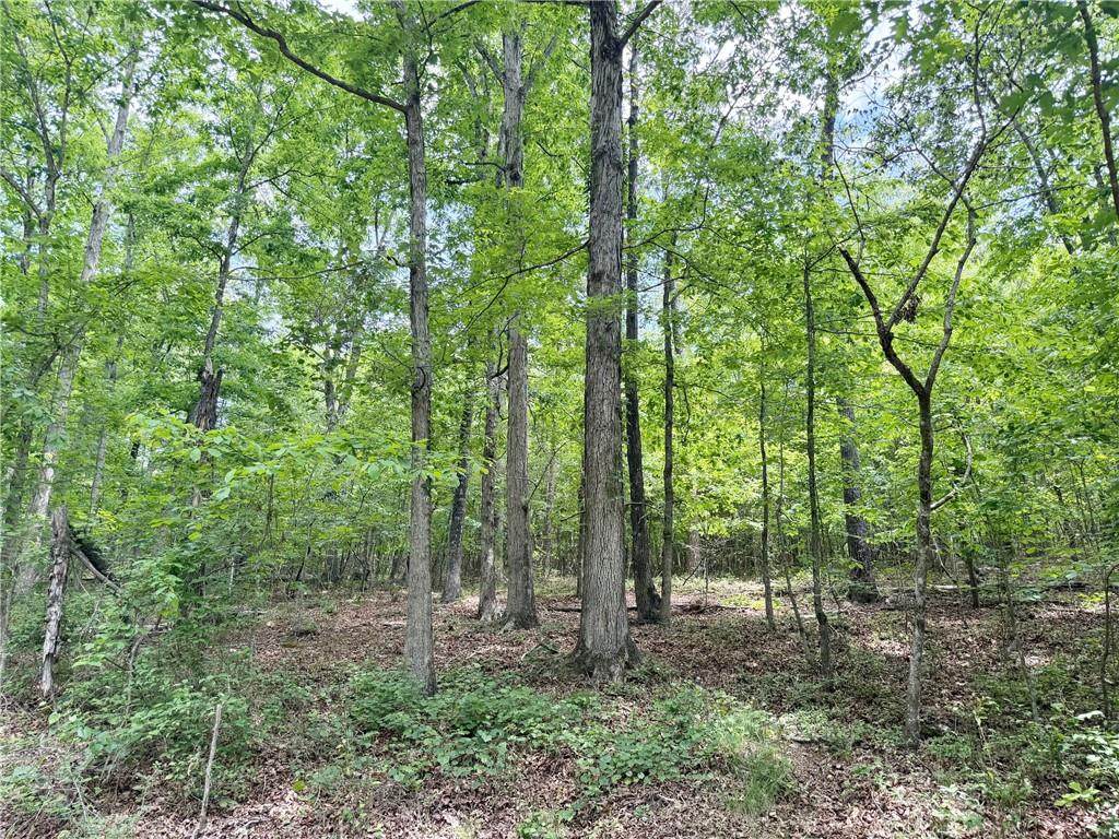 377 Oak Grove Road - Photo 1