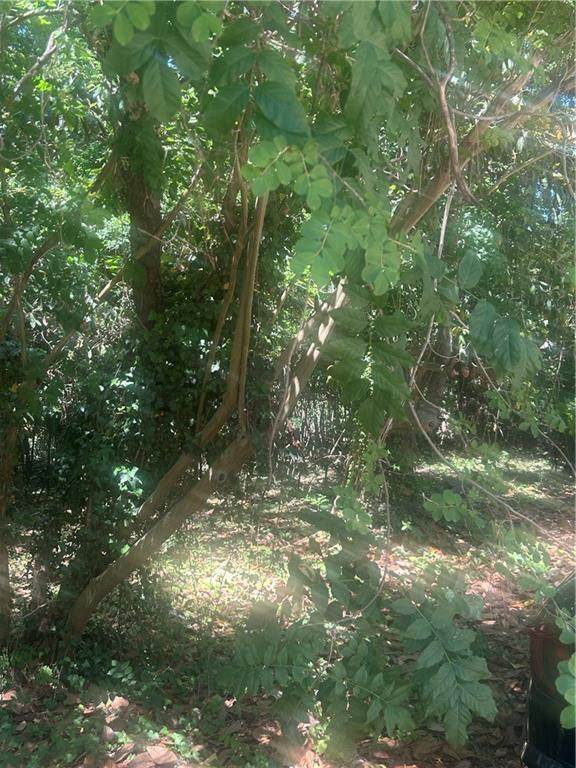 0 Magnolia - Photo 1