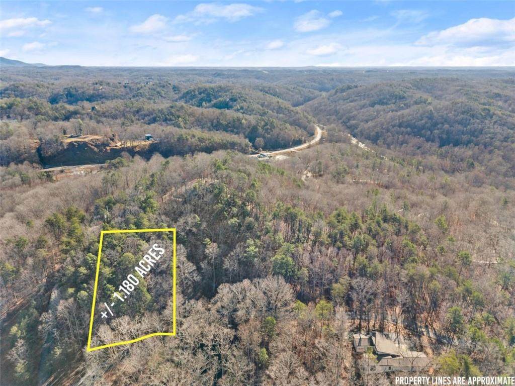 0 Golden Lot 1 Avenue - Photo 1