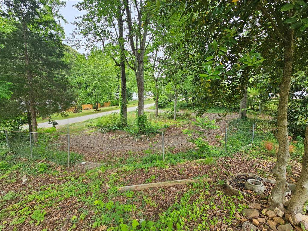 4699 Buckhorn Trail - Photo 1