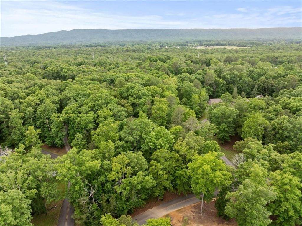 396 Russell Hill Estates Drive - Photo 1