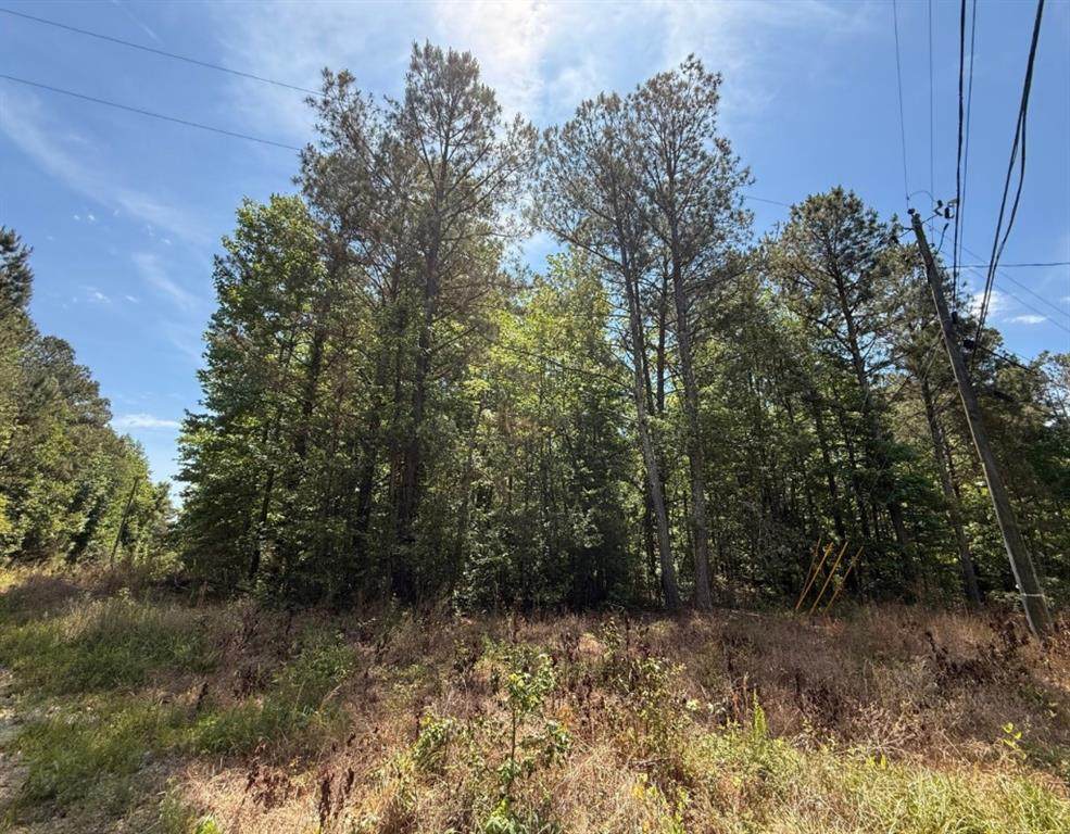 467 Raburn Road - Photo 1