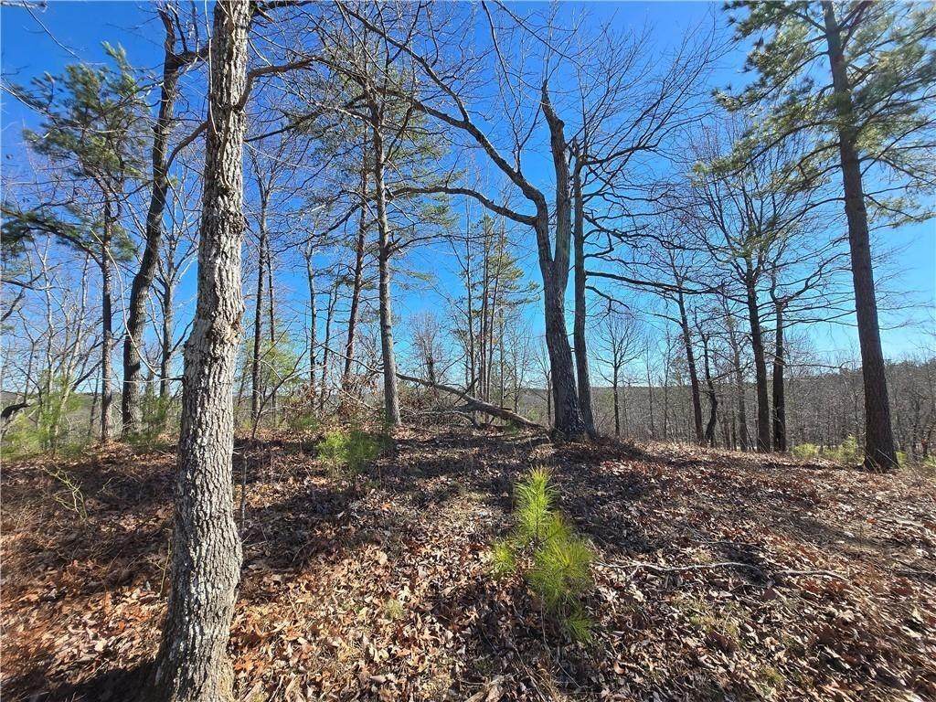 0 Brushy Mountain Road - Photo 1