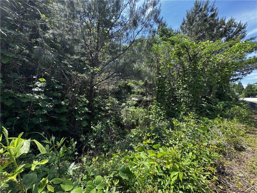 1465 Mineral Springs Road - Photo 1