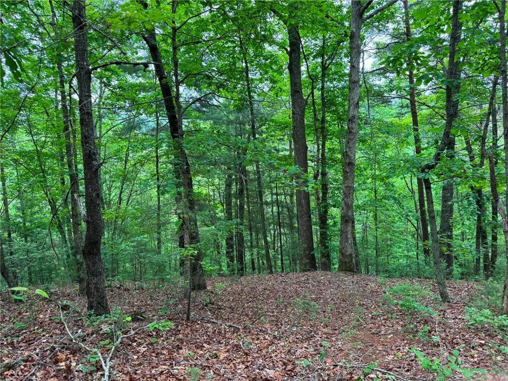 1674A Hunter Drive - Photo 1