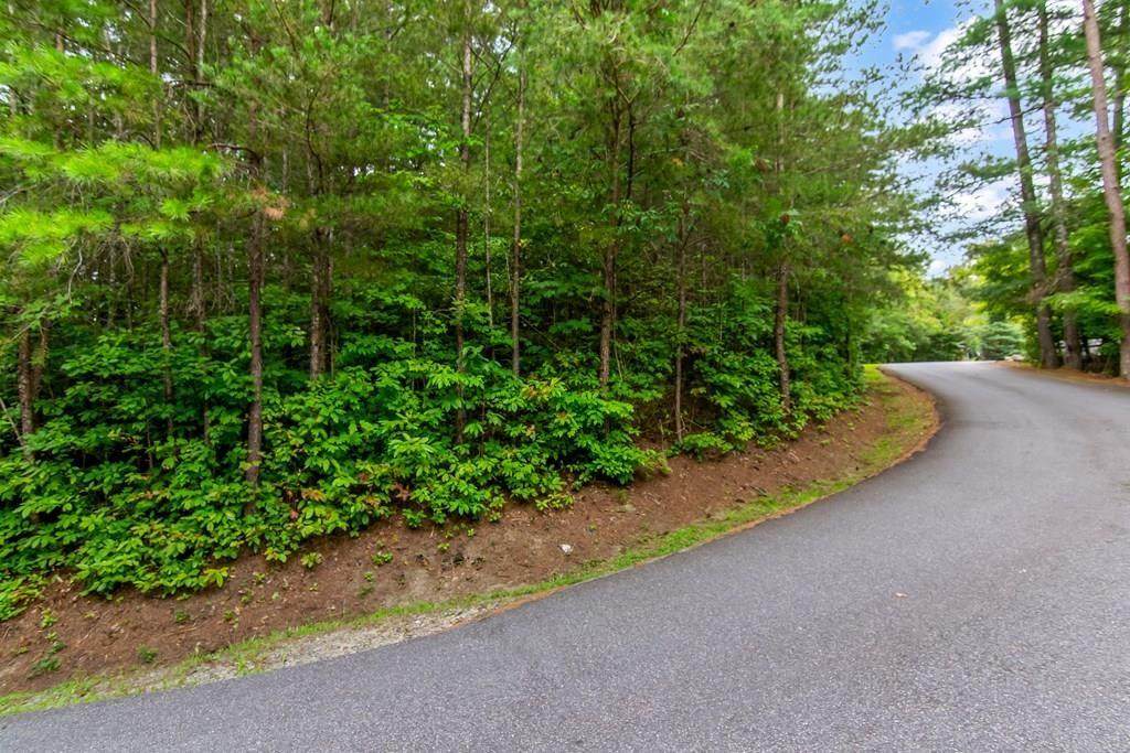 Lot 9 Laurel Creek Trail - Photo 1