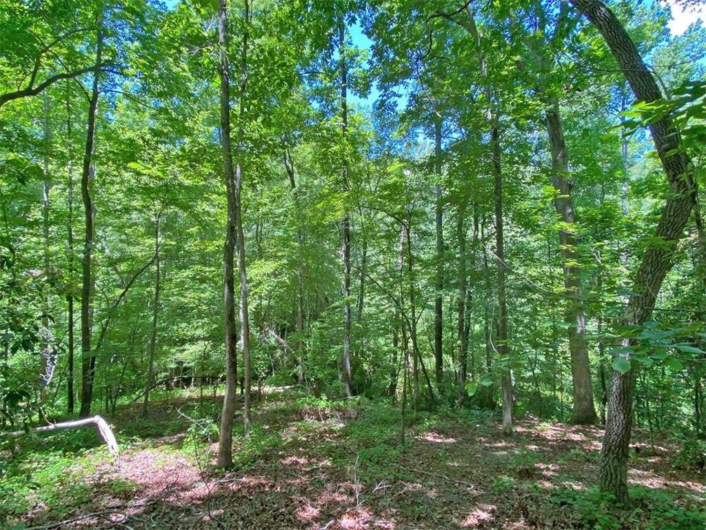 0 Hickory Nut Trail - Photo 1