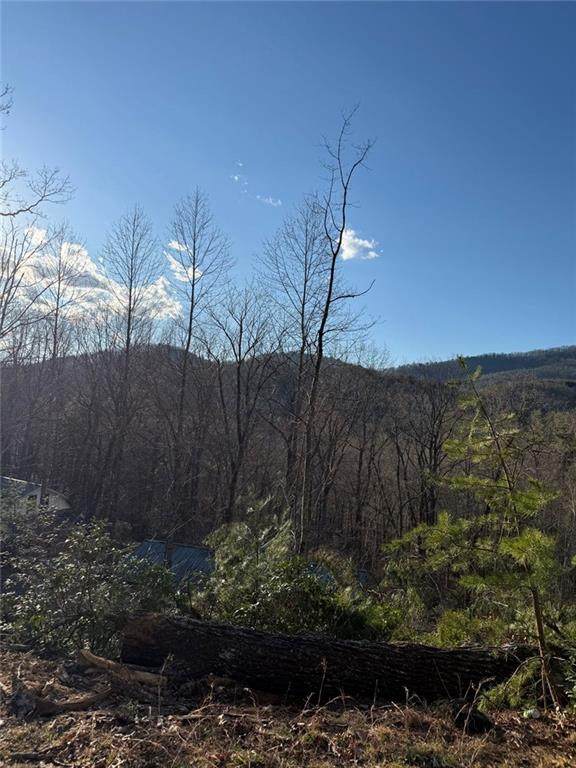 Lot 6D Meadow View Lane - Photo 1