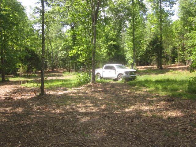 0000 Hwy 136- 11.31 Acres - Photo 1