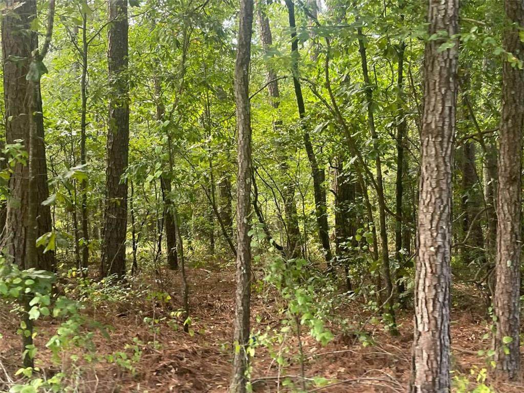 4755 Govanett Road - Photo 1