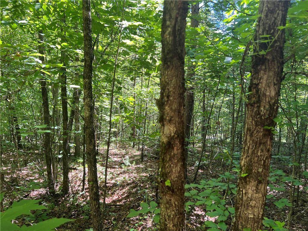 0 Fortner Road - Photo 1