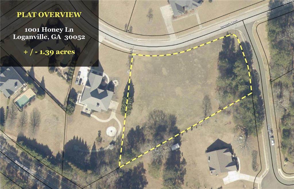 1001 Honey Lane - Photo 1
