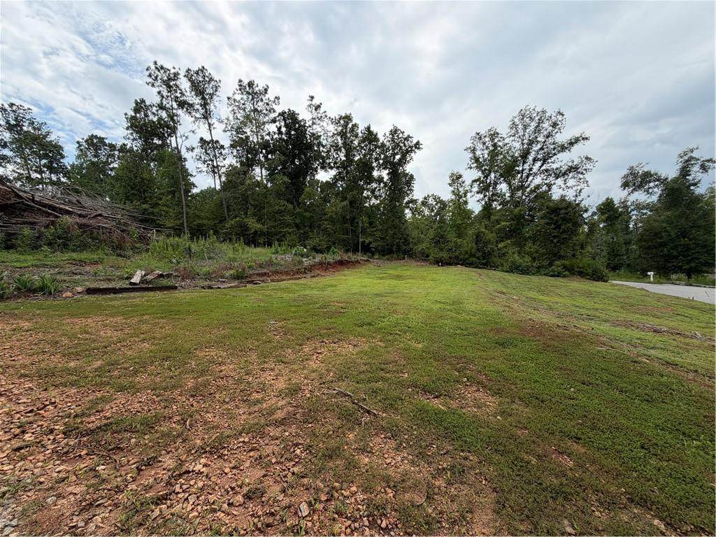 345 Friar Tuck Circle - Photo 1