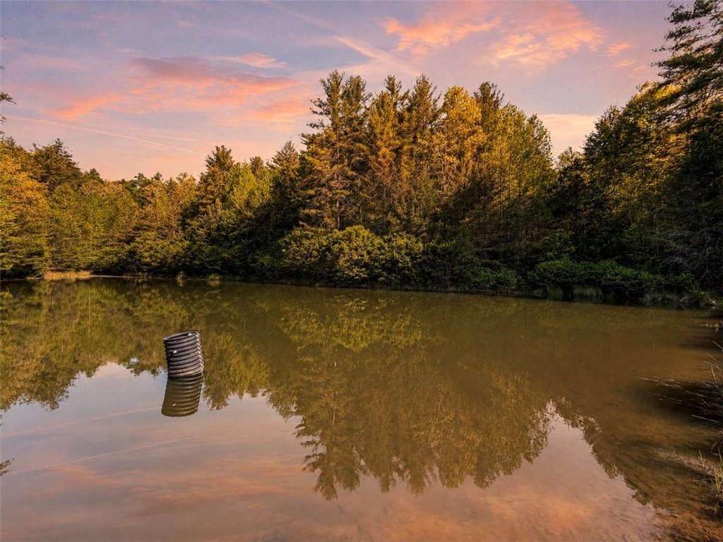 40 AC Valley Lake Road - Photo 1