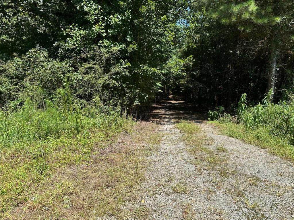 305 Wildcat Road - Photo 1