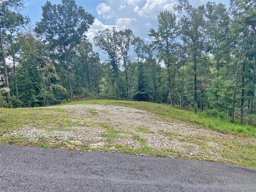 3.3ac Trillium Trail - Photo 1