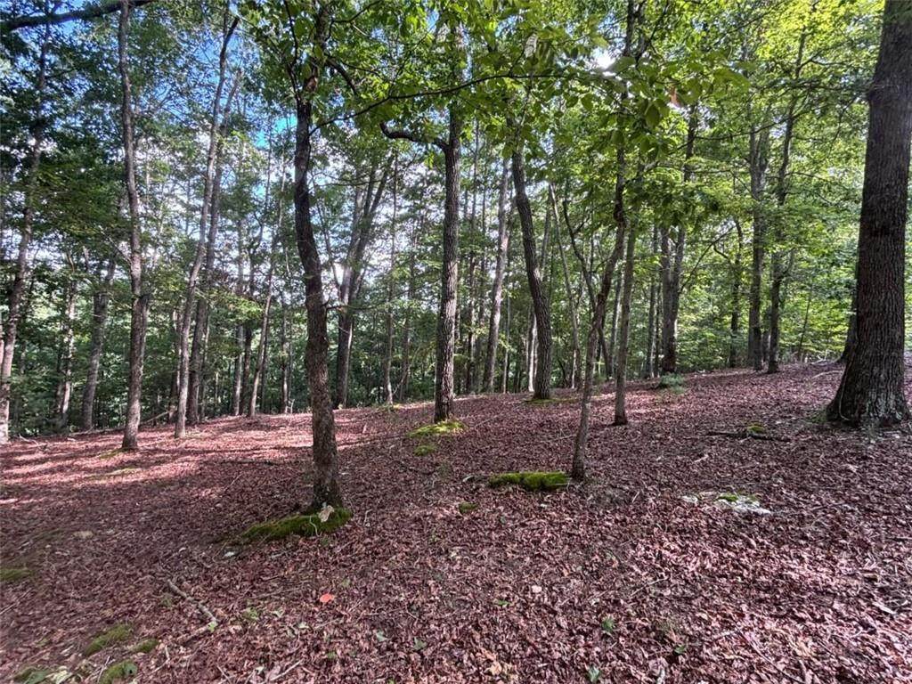 LOT 5 Westwood Avenue - Photo 1
