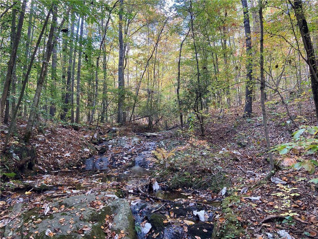 00 Lone Bear Path - Photo 1