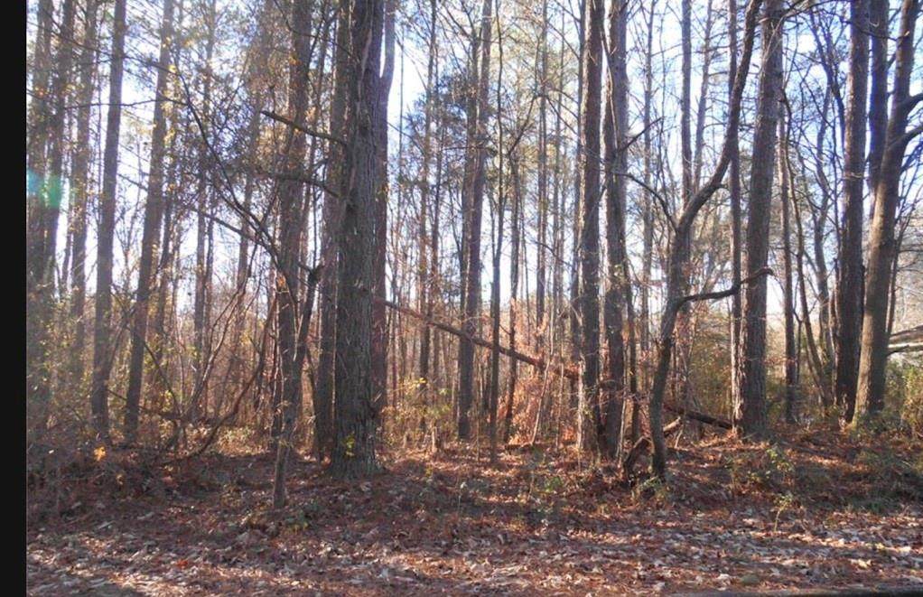 0 Bartlett Circle - Photo 1