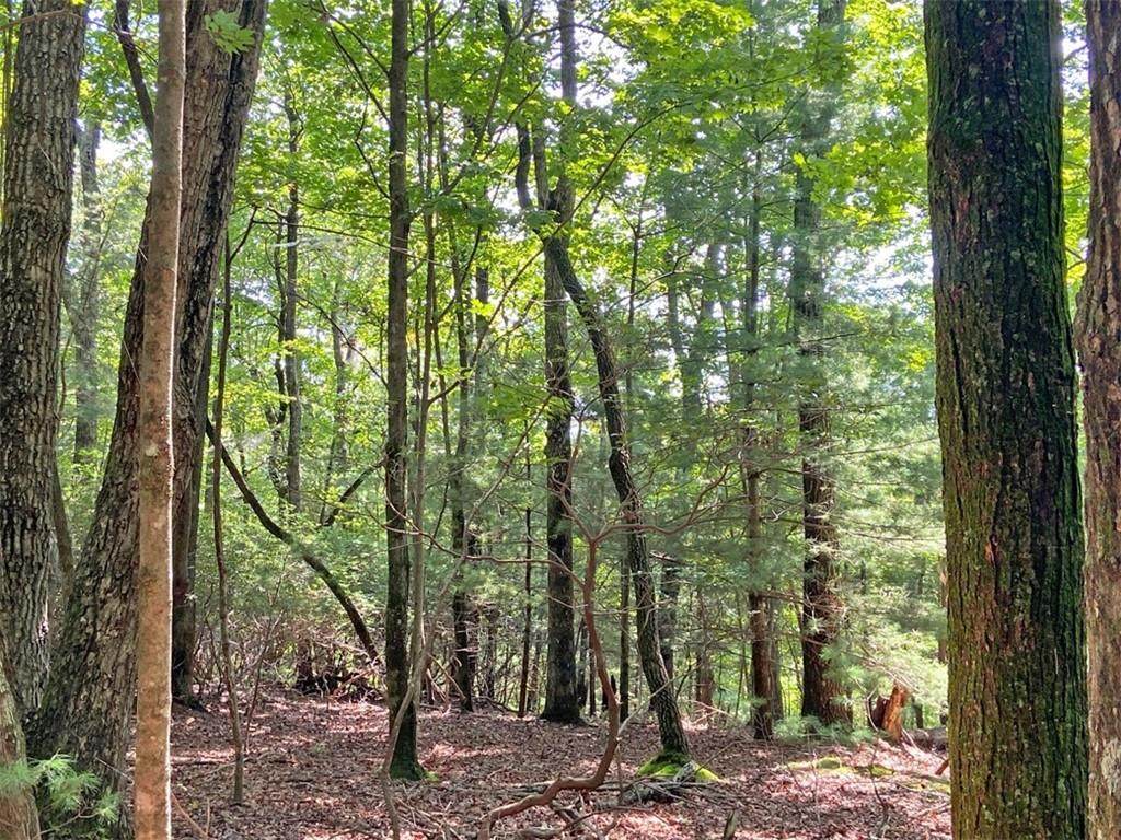 11AC T S Jarrard Road - Photo 1