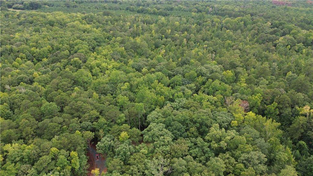 0 Roosevelt Hwy - 20.58 Acres - Photo 1