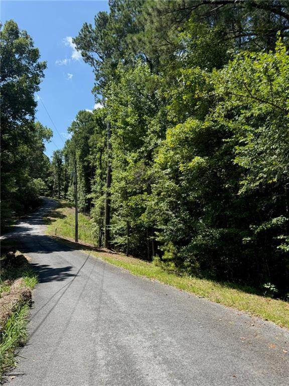 1707 Rebekah Ridge Road - Photo 1