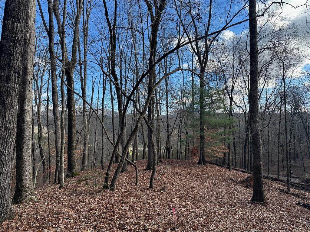200 Mincey Acres Drive - Photo 1