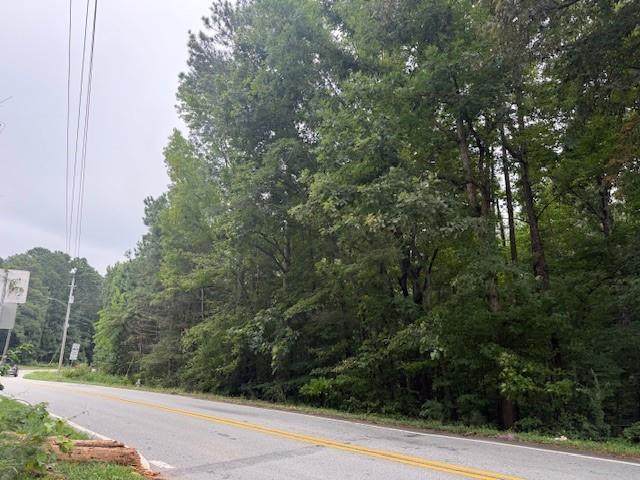 0 Old Burnt Hickory Road - Photo 1