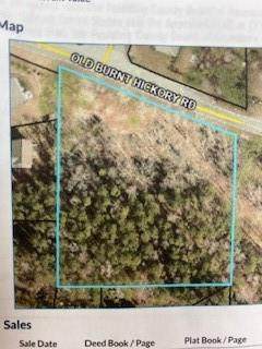 0 Old Burnt Hickory Road - Photo 1