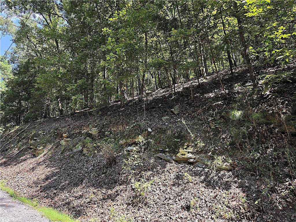 686 Anderson Lane - Photo 1